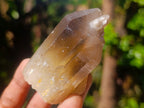 Natural Smokey Candle Quartz Crystals x 35 From Zimbabwe - Toprock Gemstones and Minerals 