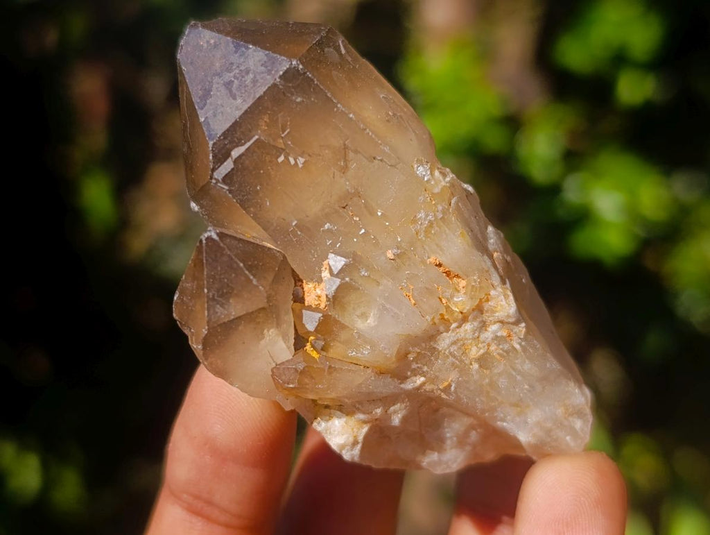 Natural Smokey Candle Quartz Crystals x 35 From Zimbabwe - Toprock Gemstones and Minerals 