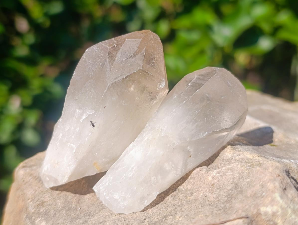 Natural Smokey Candle Quartz Crystals x 35 From Zimbabwe - Toprock Gemstones and Minerals 