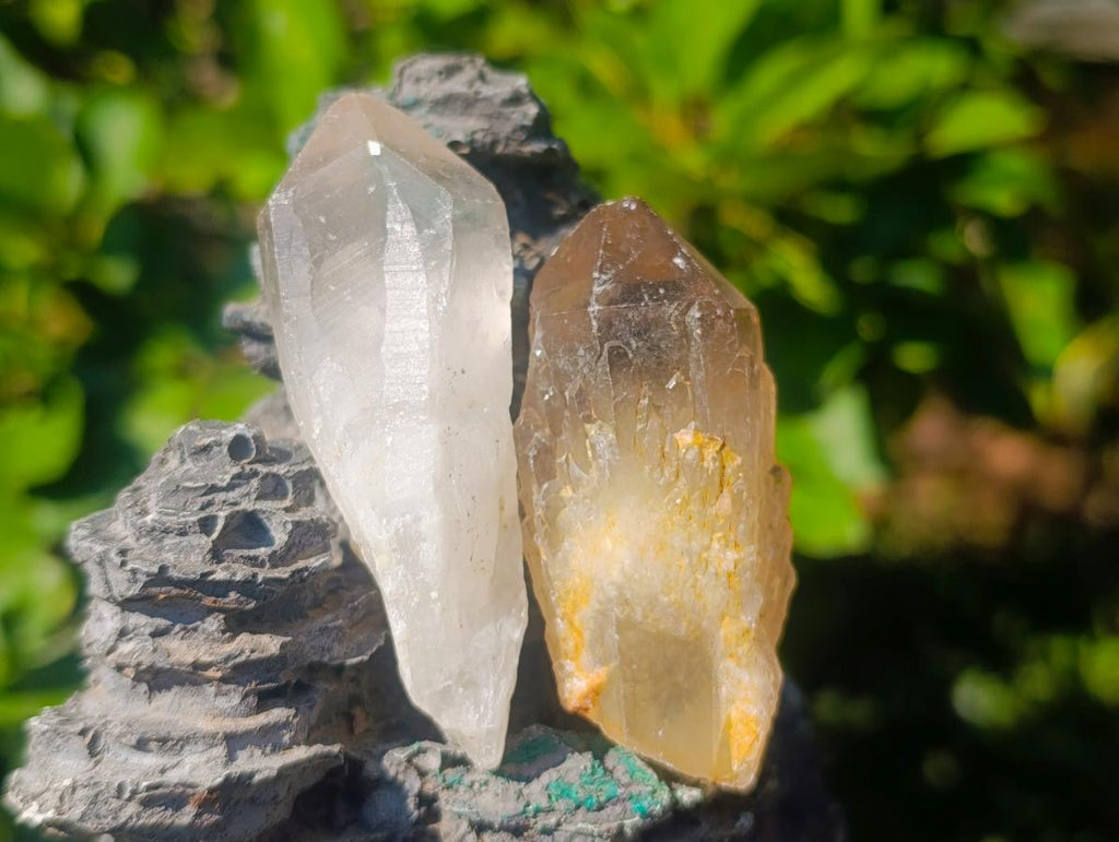 Natural Smokey Candle Quartz Crystals x 35 From Zimbabwe - Toprock Gemstones and Minerals 