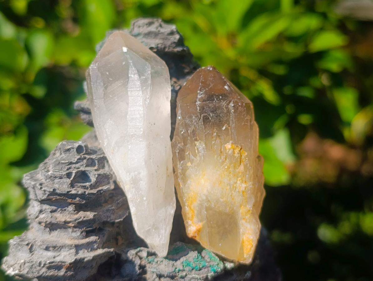 Natural Smokey Candle Quartz Crystals x 35 From Zimbabwe - Toprock Gemstones and Minerals 