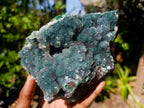 Natural Drusy Coated Ball Malachite Specimens x 2 From Lupoto Mine, Congo - Toprock Gemstones and Minerals 