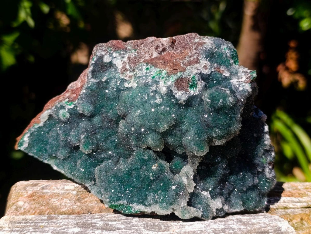 Natural Drusy Coated Ball Malachite Specimens x 2 From Lupoto Mine, Congo - Toprock Gemstones and Minerals 