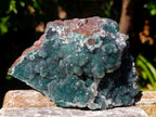 Natural Drusy Coated Ball Malachite Specimens x 2 From Lupoto Mine, Congo - Toprock Gemstones and Minerals 