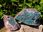 Natural Drusy Coated Ball Malachite Specimens x 2 From Lupoto Mine, Congo - Toprock Gemstones and Minerals 