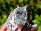 Natural Drusy Coated Ball Malachite Specimens x 2 From Lupoto Mine, Congo - Toprock Gemstones and Minerals 