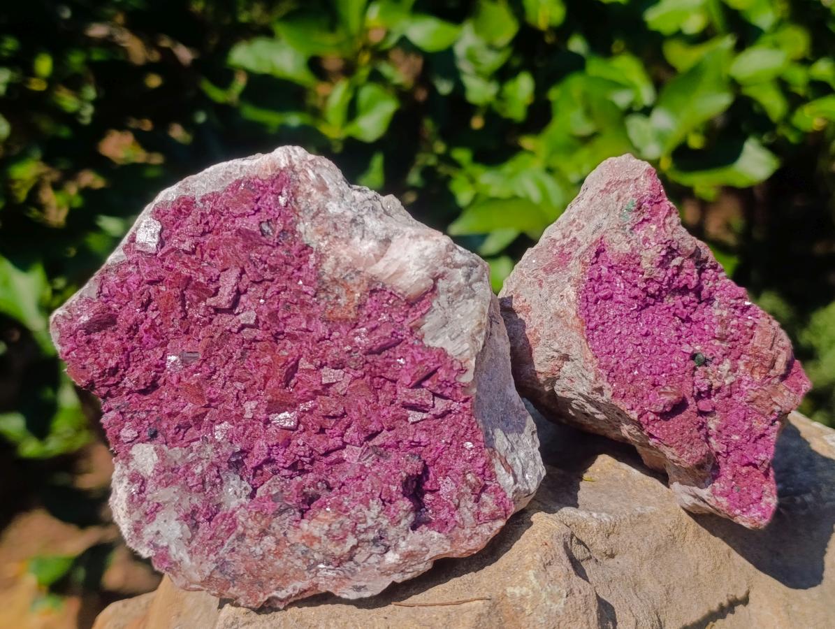 Natural Dark Pink Salrose Cobaltoan Dolomite Specimens x 2 From Kakanda, Congo - Toprock Gemstones and Minerals 