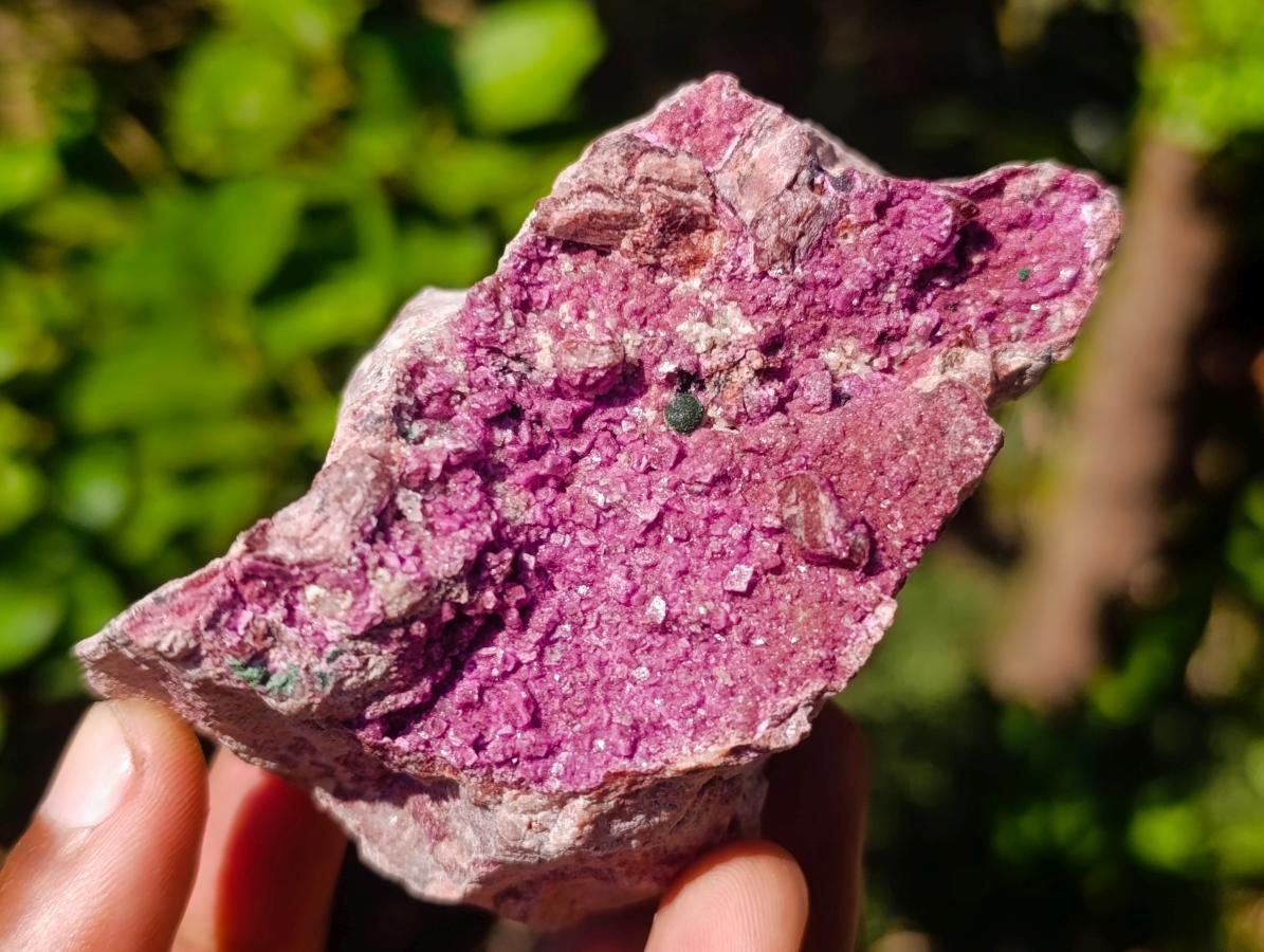 Natural Dark Pink Salrose Cobaltoan Dolomite Specimens x 2 From Kakanda, Congo - Toprock Gemstones and Minerals 
