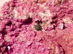 Natural Dark Pink Salrose Cobaltoan Dolomite Specimens x 2 From Kakanda, Congo - Toprock Gemstones and Minerals 