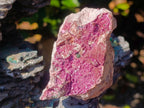 Natural Dark Pink Salrose Cobaltoan Dolomite Specimens x 2 From Kakanda, Congo - Toprock Gemstones and Minerals 