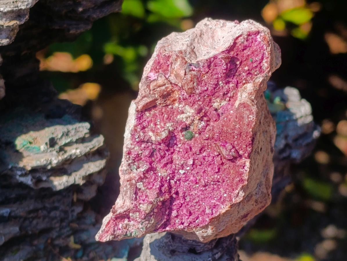 Natural Dark Pink Salrose Cobaltoan Dolomite Specimens x 2 From Kakanda, Congo - Toprock Gemstones and Minerals 