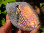 Polished Rare Purple Sunset Flash Labradorite Standing Free Forms x 4 From Madagascar - Toprock Gemstones and Minerals 