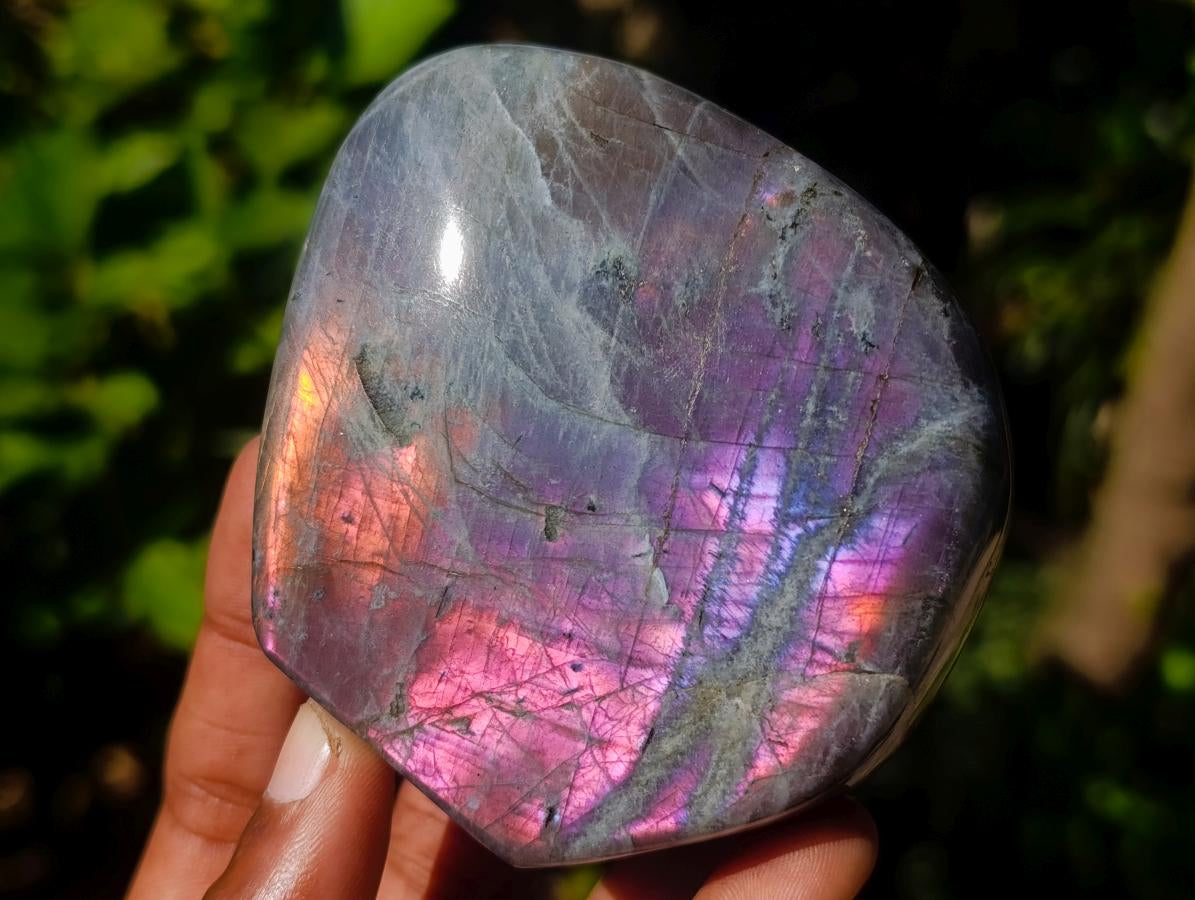 Polished Rare Purple Sunset Flash Labradorite Standing Free Forms x 4 From Madagascar - Toprock Gemstones and Minerals 