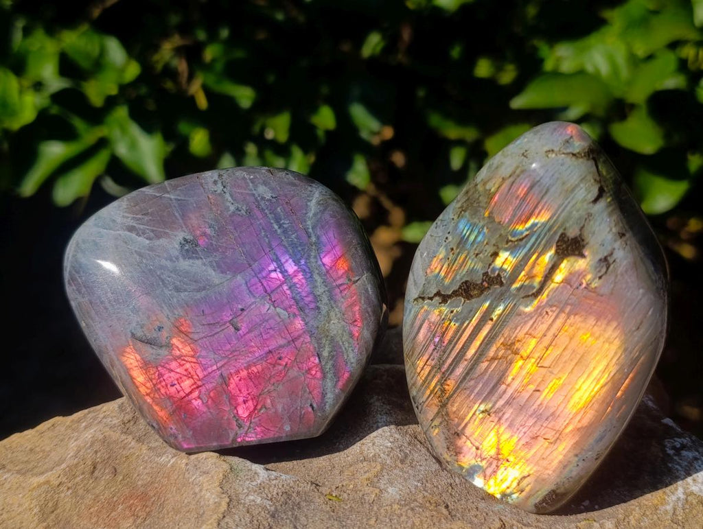 Polished Rare Purple Sunset Flash Labradorite Standing Free Forms x 4 From Madagascar - Toprock Gemstones and Minerals 