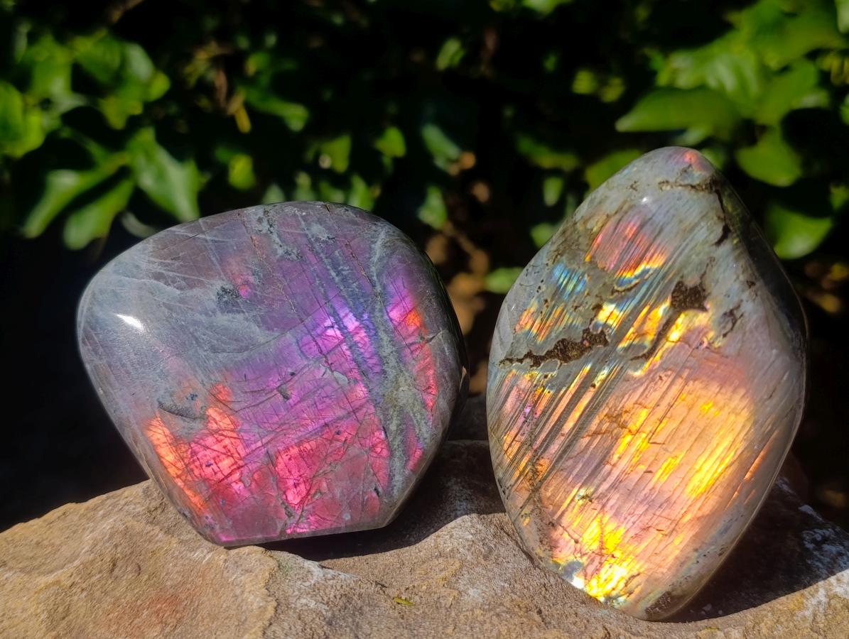 Polished Rare Purple Sunset Flash Labradorite Standing Free Forms x 4 From Madagascar - Toprock Gemstones and Minerals 