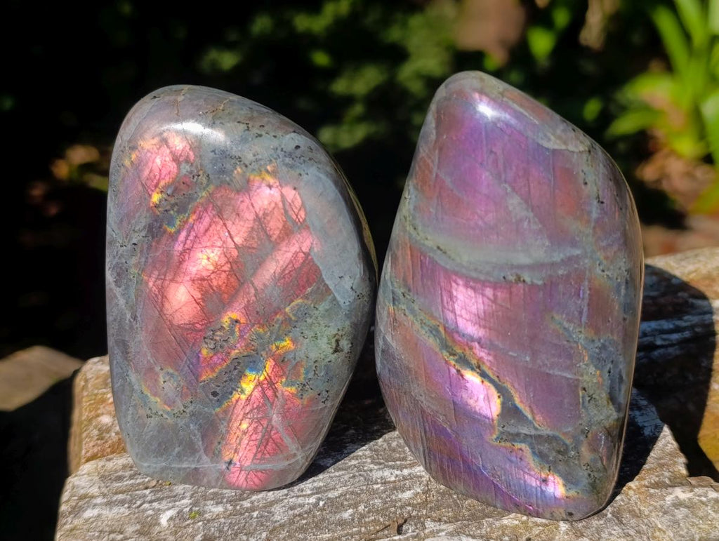 Polished Rare Purple Sunset Flash Labradorite Standing Free Forms x 4 From Madagascar - Toprock Gemstones and Minerals 