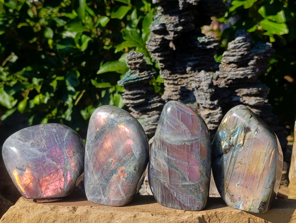 Polished Rare Purple Sunset Flash Labradorite Standing Free Forms x 4 From Madagascar - Toprock Gemstones and Minerals 
