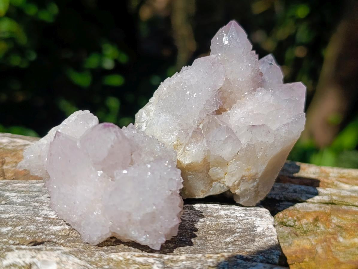 Natural Lilac Amethyst Spirit Quartz Clusters and Crystals x 12 From Boekenhouthoek, South Africa - Toprock Gemstones and Minerals 