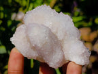 Natural Lilac Amethyst Spirit Quartz Clusters and Crystals x 12 From Boekenhouthoek, South Africa - Toprock Gemstones and Minerals 