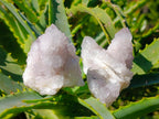 Natural Lilac Amethyst Spirit Quartz Clusters and Crystals x 12 From Boekenhouthoek, South Africa - Toprock Gemstones and Minerals 
