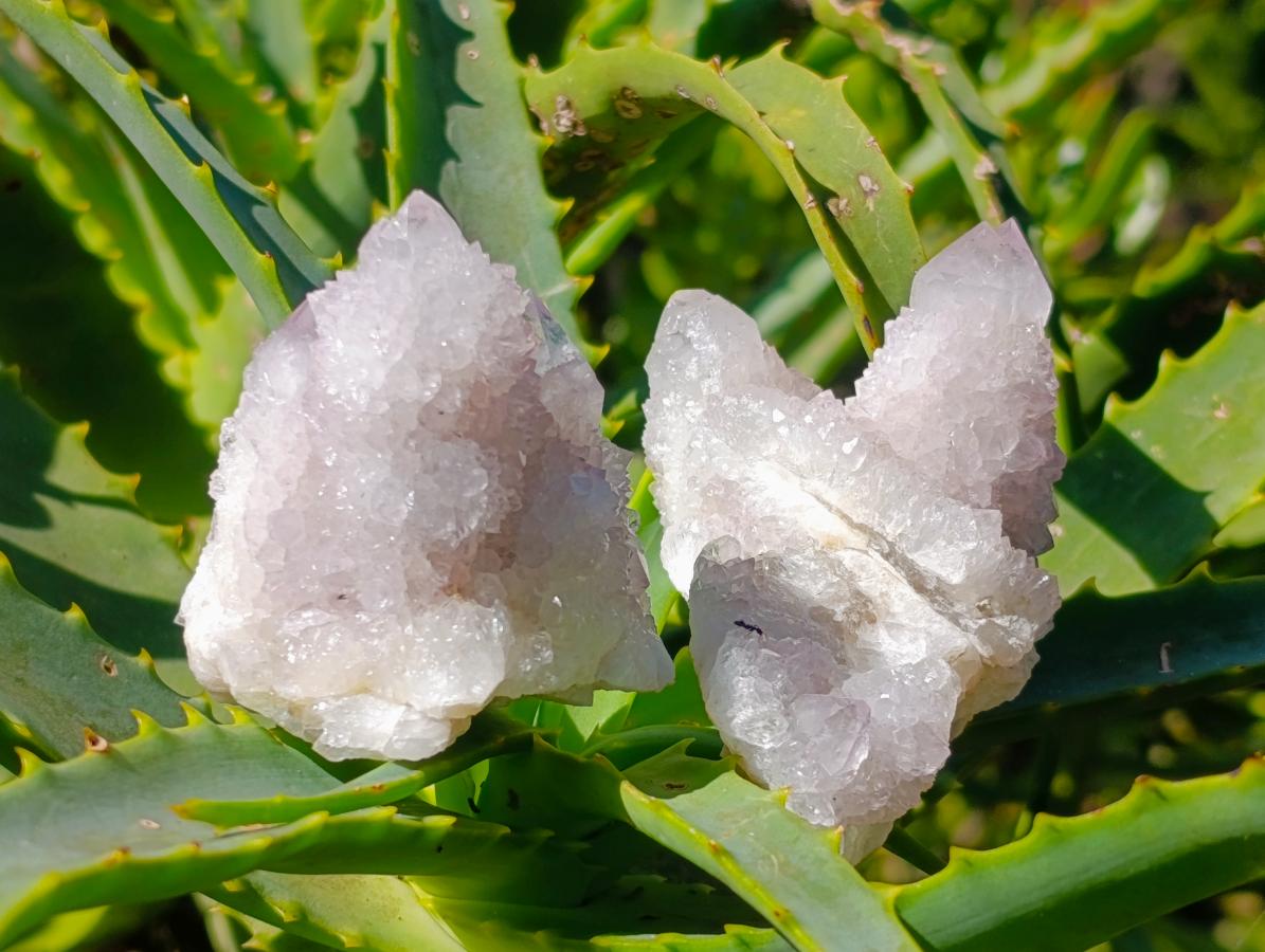 Natural Lilac Amethyst Spirit Quartz Clusters and Crystals x 12 From Boekenhouthoek, South Africa - Toprock Gemstones and Minerals 