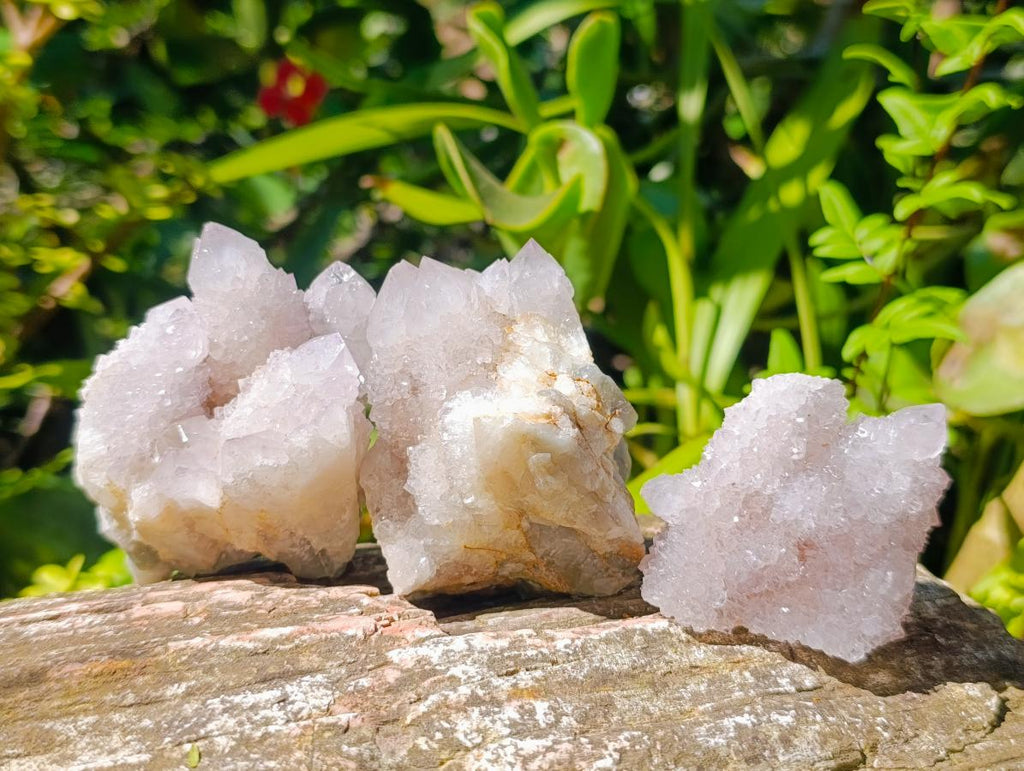 Natural Lilac Amethyst Spirit Quartz Clusters and Crystals x 12 From Boekenhouthoek, South Africa - Toprock Gemstones and Minerals 