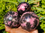 Polished Rhodonite Gemstone Spheres x 3 From Ambindavato, Madagascar - Toprock Gemstones and Minerals 