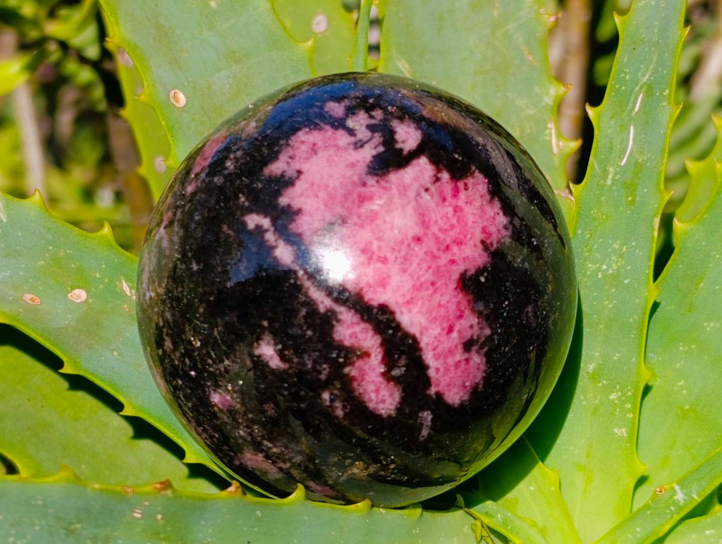 Polished Rhodonite Gemstone Spheres x 3 From Ambindavato, Madagascar - Toprock Gemstones and Minerals 