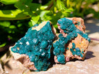 Natural Dioptase on Dolomite Specimens x 6 From Likasi, Congo - Toprock Gemstones and Minerals 