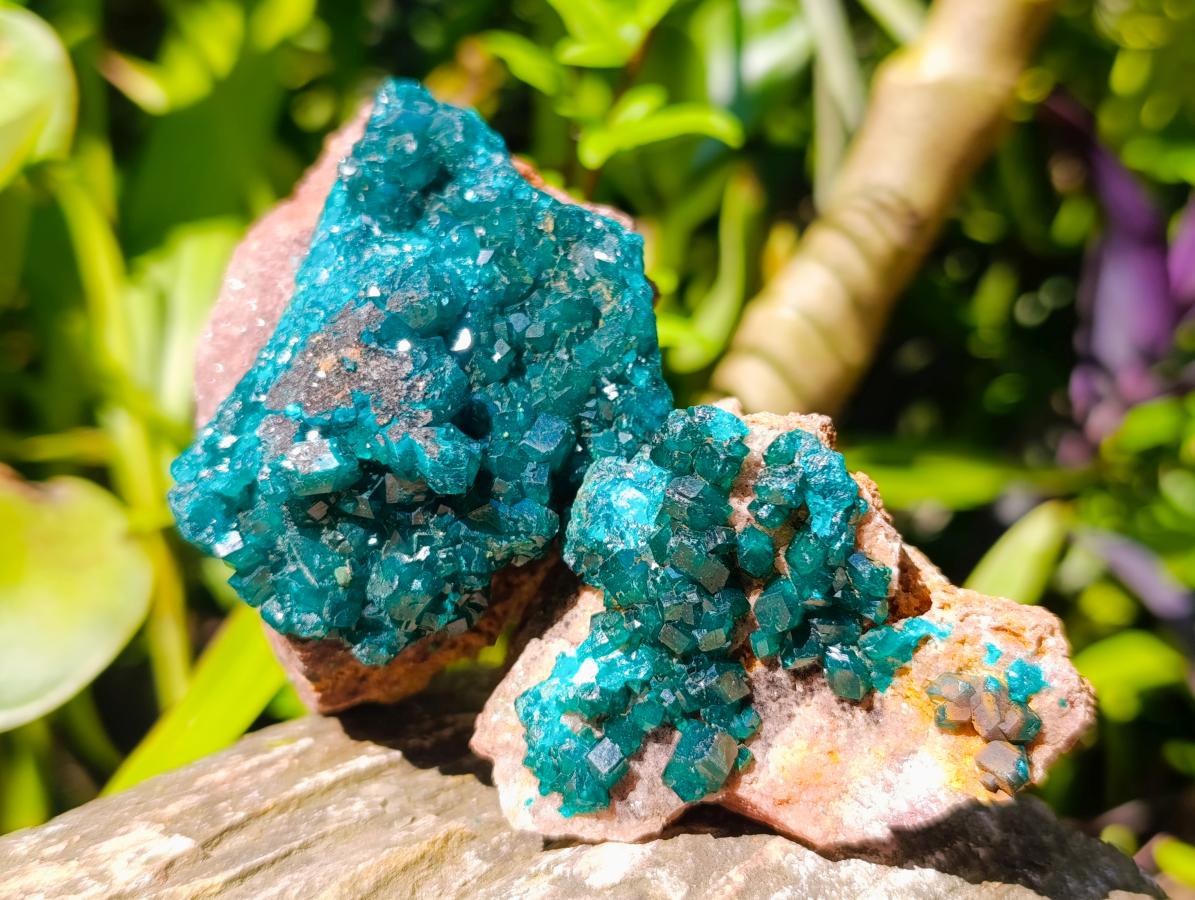 Natural Dioptase on Dolomite Specimens x 6 From Likasi, Congo - Toprock Gemstones and Minerals 