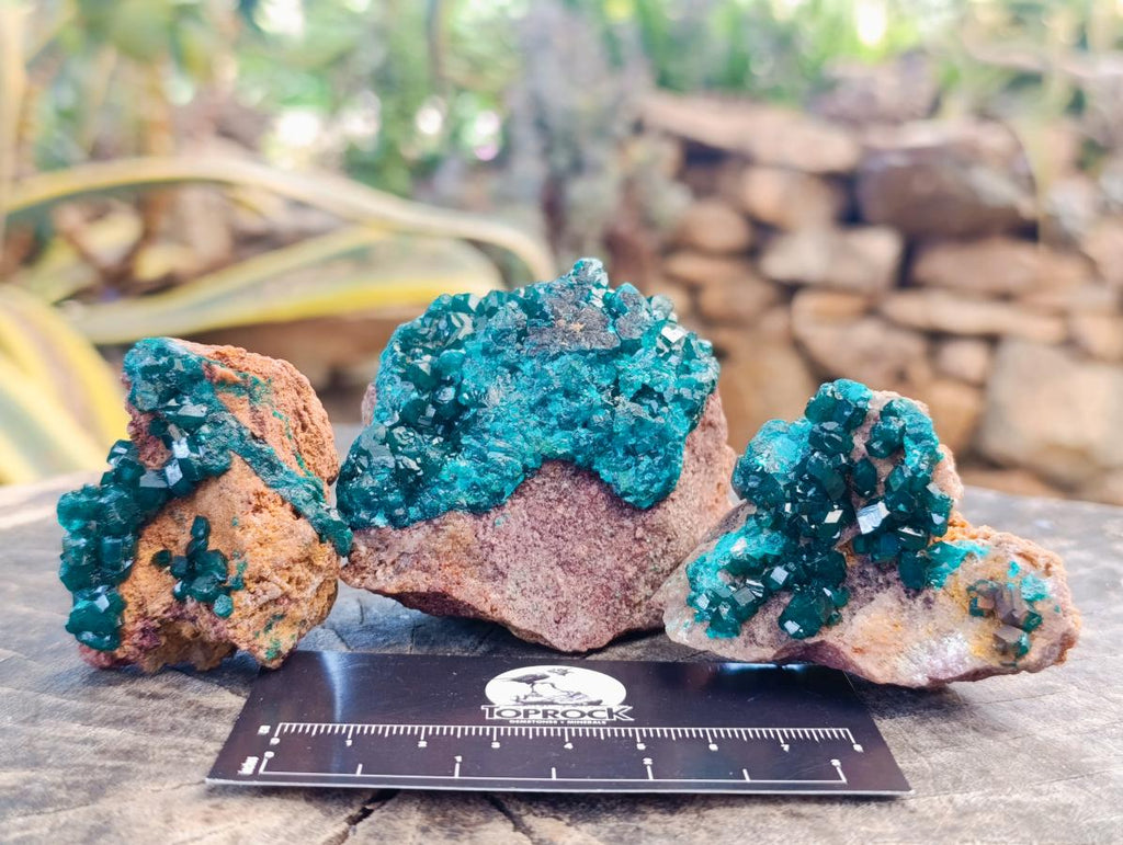 Natural Dioptase on Dolomite Specimens x 6 From Likasi, Congo - Toprock Gemstones and Minerals 
