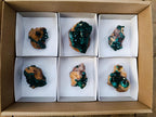 Natural Dioptase on Dolomite Specimens x 6 From Likasi, Congo - Toprock Gemstones and Minerals 