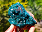 Natural Dioptase on Dolomite Specimens x 6 From Likasi, Congo - Toprock Gemstones and Minerals 