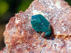 Natural Dioptase on Dolomite Specimens x 6 From Likasi, Congo - Toprock Gemstones and Minerals 