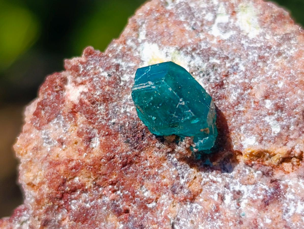 Natural Dioptase on Dolomite Specimens x 6 From Likasi, Congo - Toprock Gemstones and Minerals 