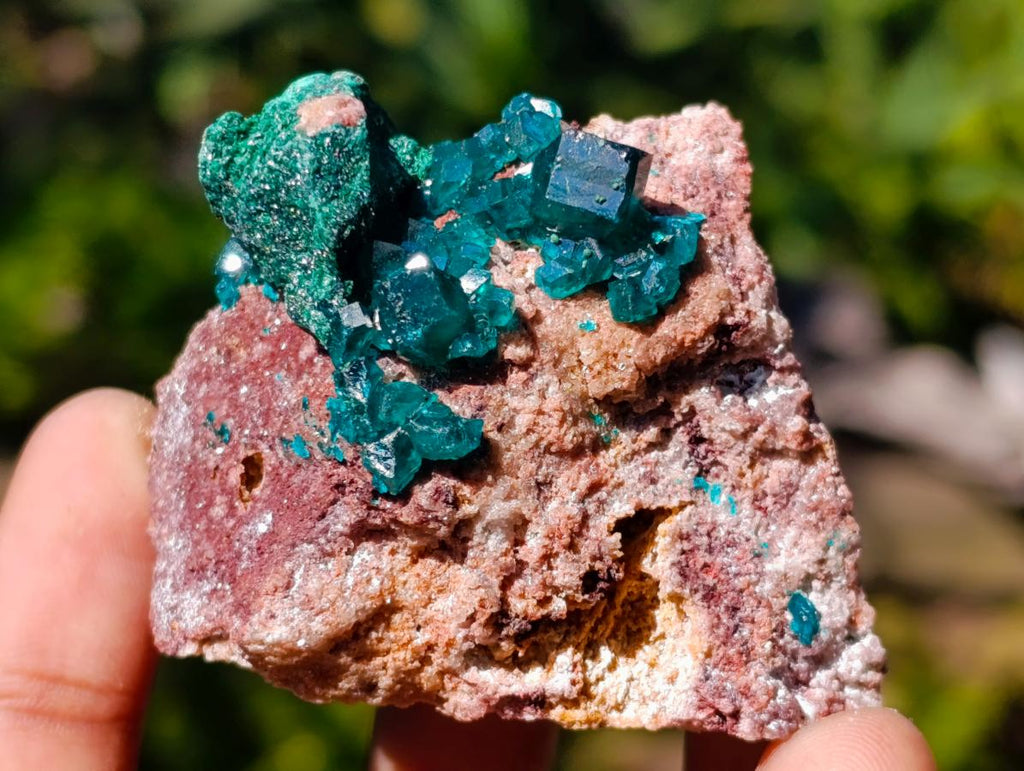 Natural Dioptase on Dolomite Specimens x 6 From Likasi, Congo - Toprock Gemstones and Minerals 
