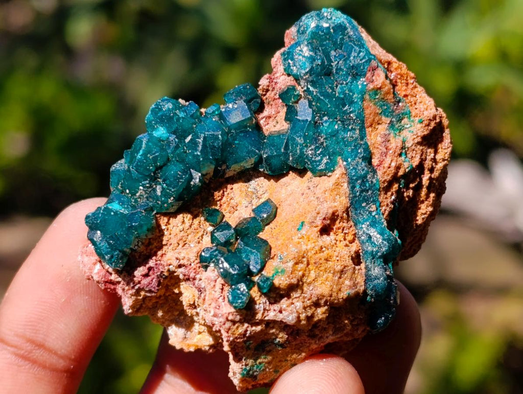 Natural Dioptase on Dolomite Specimens x 6 From Likasi, Congo - Toprock Gemstones and Minerals 