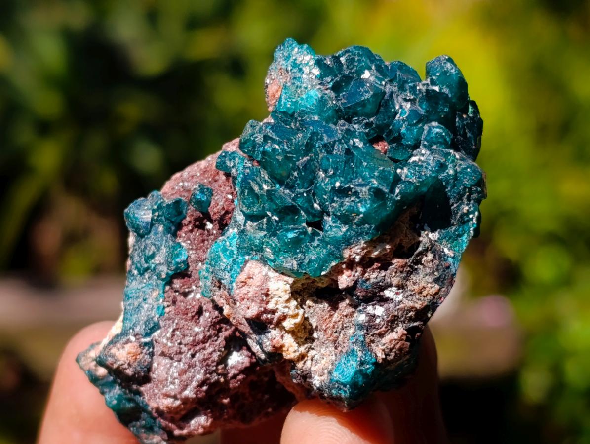 Natural Dioptase on Dolomite Specimens x 6 From Likasi, Congo - Toprock Gemstones and Minerals 