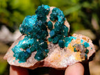 Natural Dioptase on Dolomite Specimens x 6 From Likasi, Congo - Toprock Gemstones and Minerals 