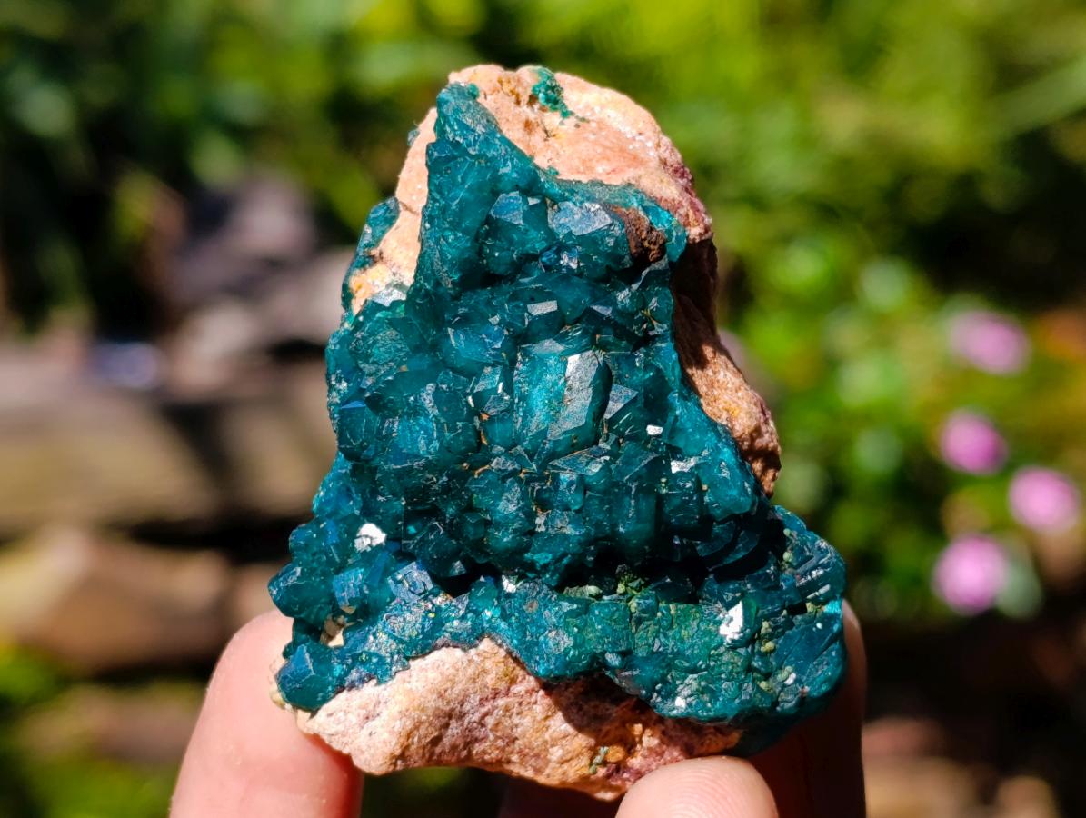 Natural Dioptase on Dolomite Specimens x 6 From Likasi, Congo - Toprock Gemstones and Minerals 