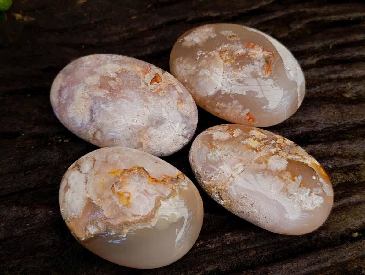 Polished Flower Agate Palm Stones x 12 From Antsahalova, Madagascar - Toprock Gemstones and Minerals 
