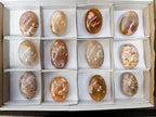 Polished Flower Agate Palm Stones x 12 From Antsahalova, Madagascar - Toprock Gemstones and Minerals 