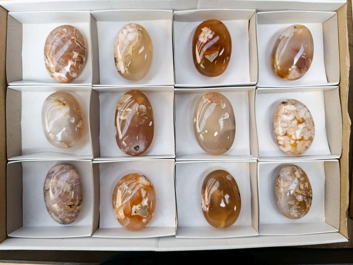 Polished Flower Agate Palm Stones x 12 From Antsahalova, Madagascar - Toprock Gemstones and Minerals 