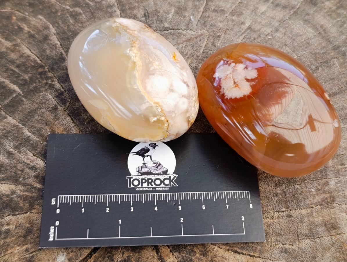 Polished Flower Agate Palm Stones x 12 From Antsahalova, Madagascar - Toprock Gemstones and Minerals 