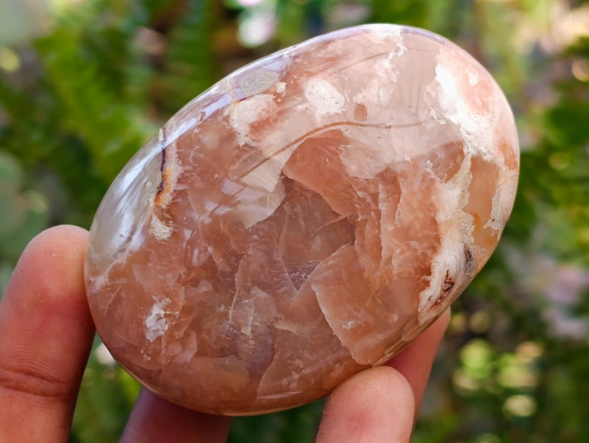 Polished Flower Agate Palm Stones x 12 From Antsahalova, Madagascar - Toprock Gemstones and Minerals 