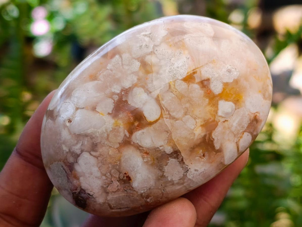Polished Flower Agate Palm Stones x 12 From Antsahalova, Madagascar - Toprock Gemstones and Minerals 