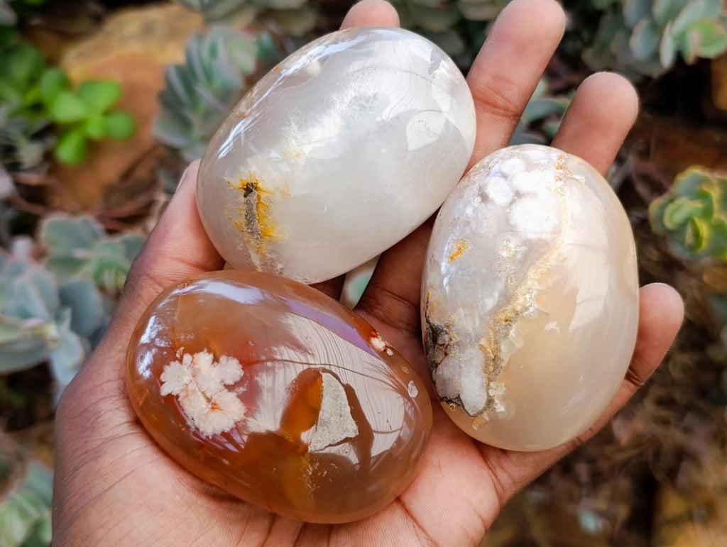 Polished Flower Agate Palm Stones x 12 From Antsahalova, Madagascar - Toprock Gemstones and Minerals 