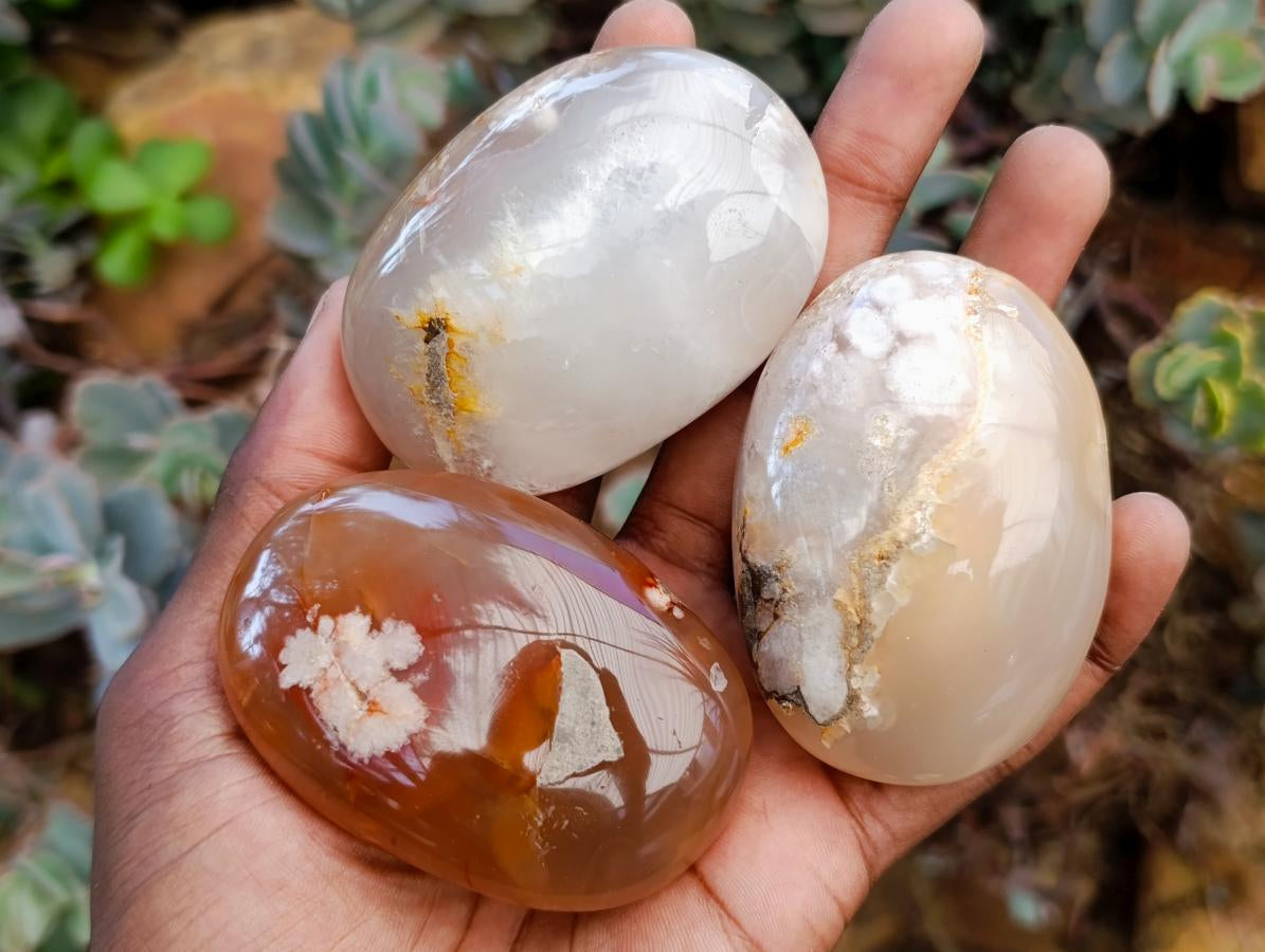 Polished Flower Agate Palm Stones x 12 From Antsahalova, Madagascar - Toprock Gemstones and Minerals 