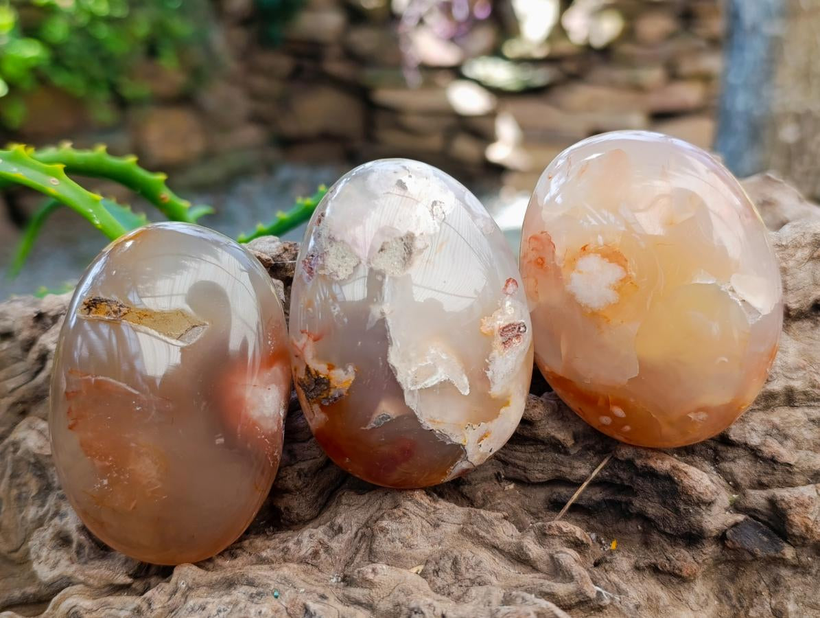Polished Flower Agate Palm Stones x 12 From Antsahalova, Madagascar - Toprock Gemstones and Minerals 