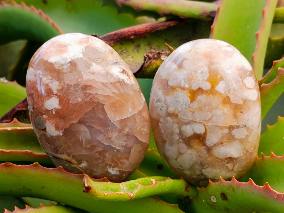 Polished Flower Agate Palm Stones x 12 From Antsahalova, Madagascar - Toprock Gemstones and Minerals 